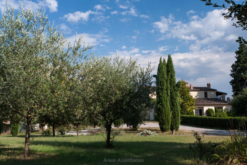 Terra Della Lanterna Bed and Breakfast Cetona Buitenkant foto