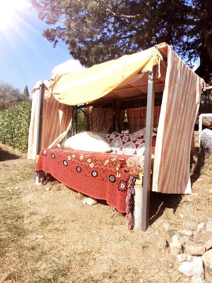 Terra Della Lanterna Bed and Breakfast Cetona Buitenkant foto